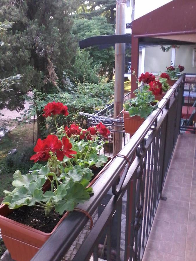 Apartments Olga فيربازار المظهر الخارجي الصورة